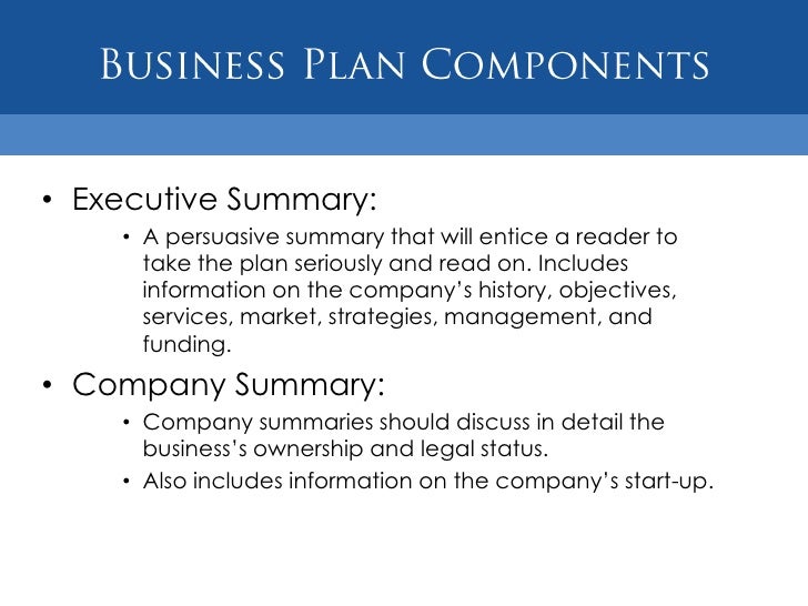 Business Plan Management Summary