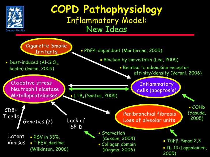 C O P D State of the Art