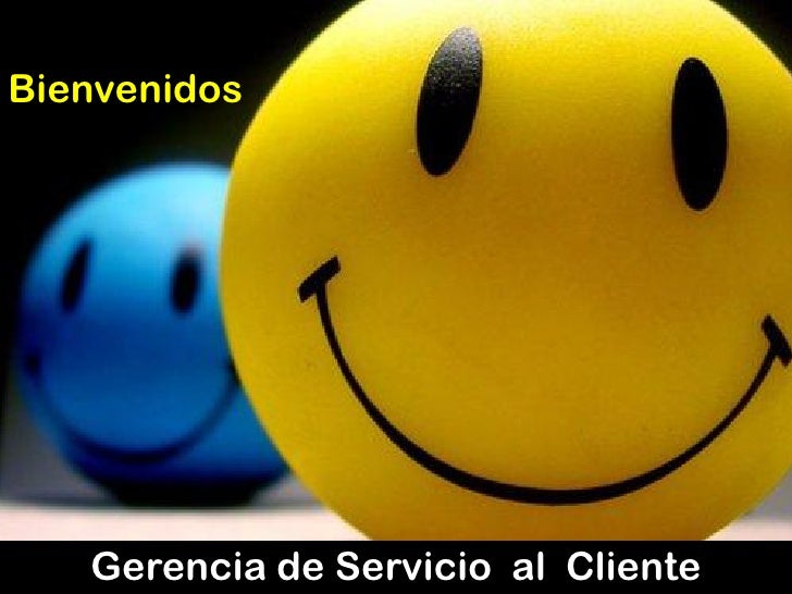 GERENCIA DEL SERVICIO gerencia del servicio: