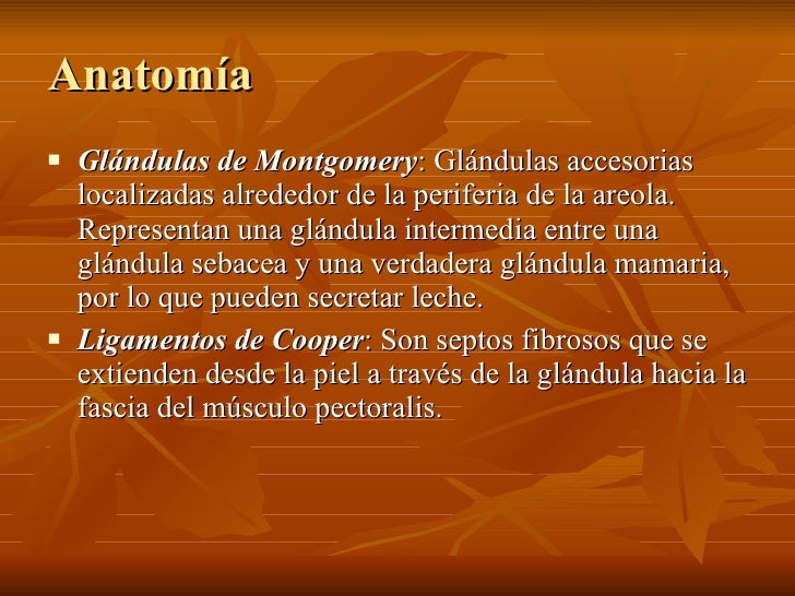 Cancer de Mama