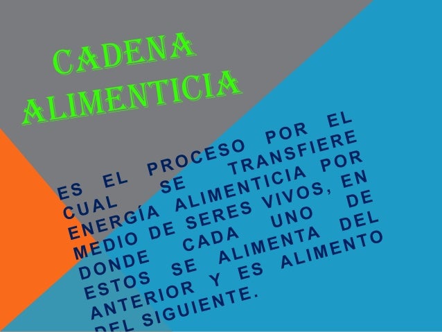 cadenas polipeptídicas que es cadena alimenticia cadenas polipeptídicas que es cadena alimenticia