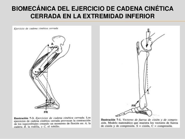 cadena cinetica ejercicios cadena cinetica cadena cinetica ejercicios cadena cinetica