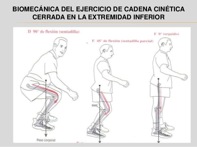 Cadena cinetica