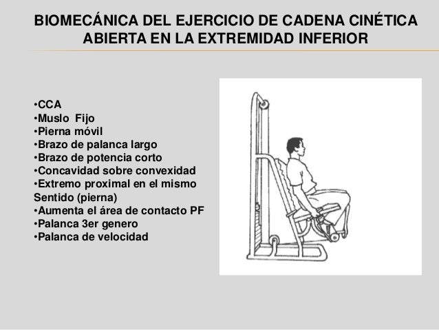 cadena cinetica cerrada y abierta ejemplos cadena cinetica cadena cinetica cerrada y abierta ejemplos cadena cinetica
