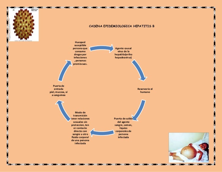 cadenas polipeptídicas que es cadena epidemiologica hepatitis b cadenas polipeptídicas que es cadena epidemiologica hepatitis b
