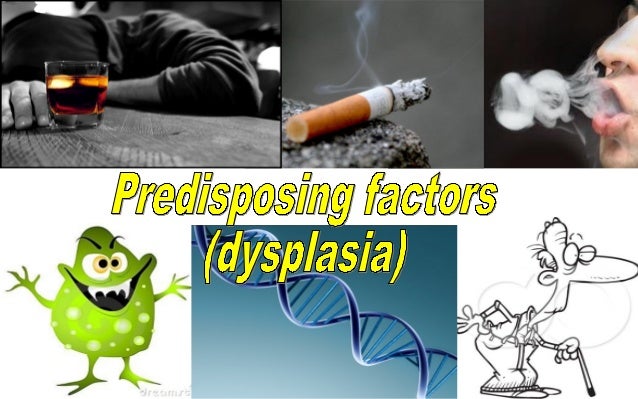 immigration regulation workplaces toronto