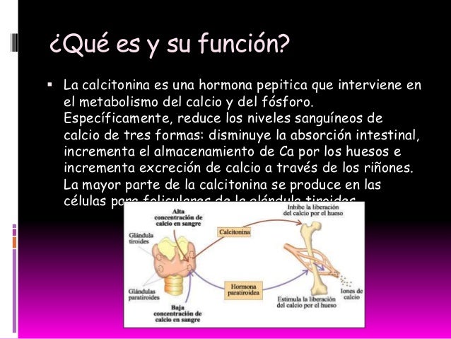 La columna vertebral la hernia el tratamiento el borde de Stavropol