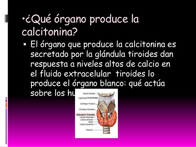 Las medicinas necesario al tratamiento sheynogo de la osteocondrosis