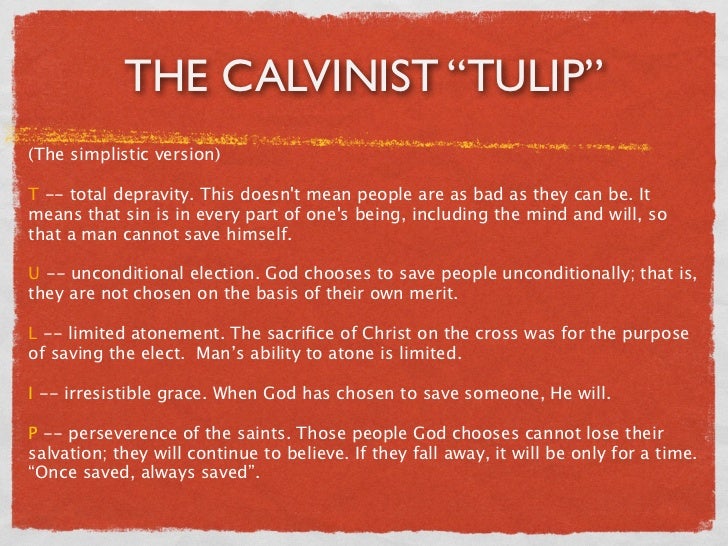 calvinist-tulip-2-728.jpg