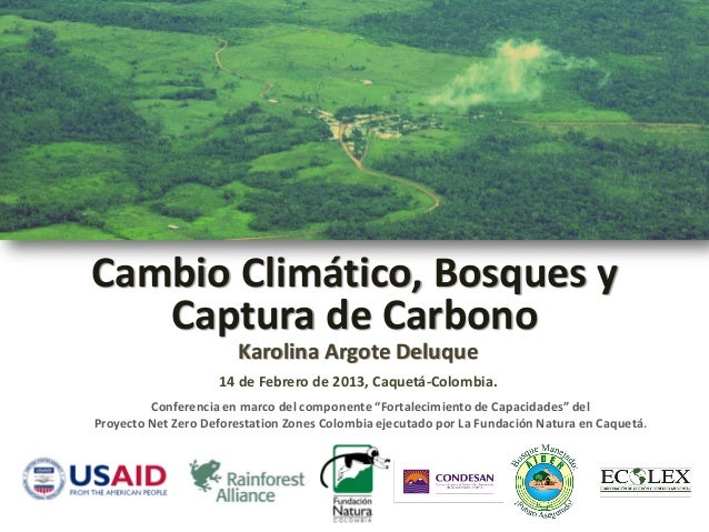 Cambio Climático, Bosques y   Captura de Carbono                       Karolina Argote Deluque                    14 de Fe...