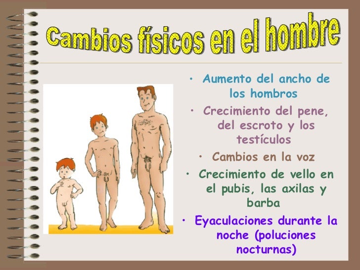 A que edad hacer la operación sobre el miembro viril escondido