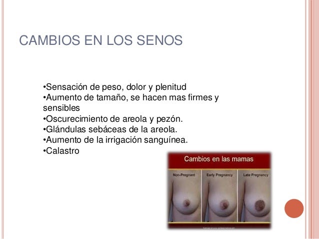 Como aumentar la dimensión del pecho en 12 años