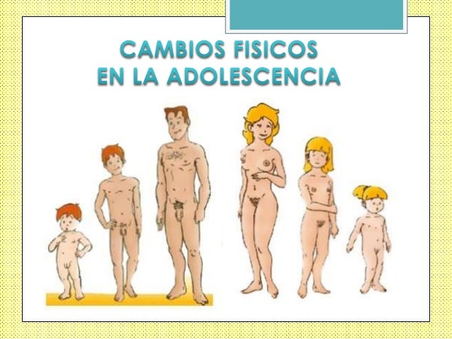 Geynery para el aumento del pecho