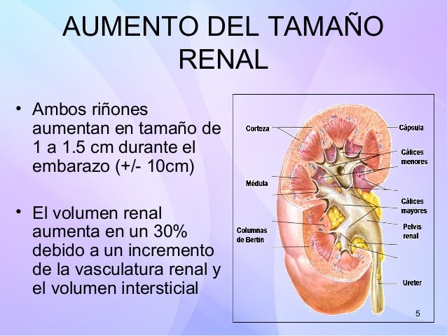 Si puede sheynyy dar la osteocondrosis en el pie