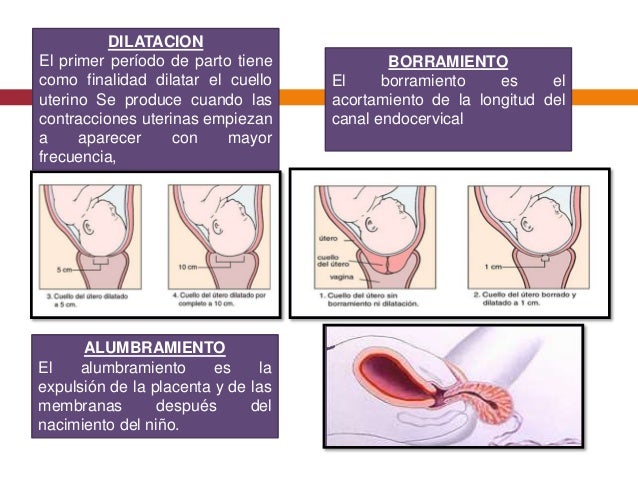 La máscara del pepino para la persona para que es necesaria