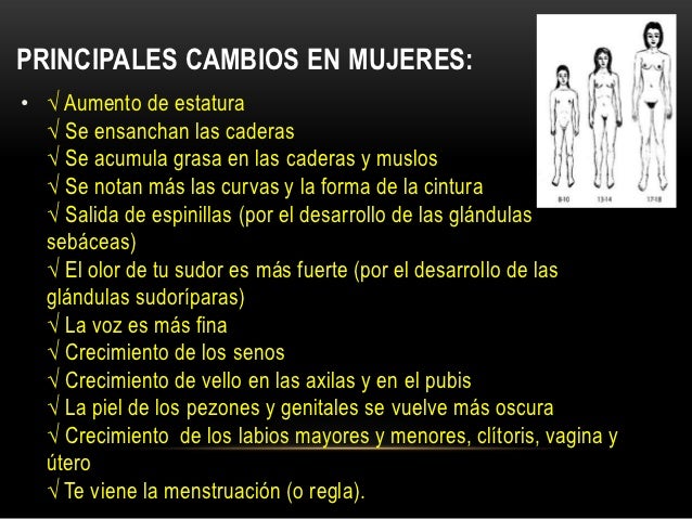 Ekspander para el aumento del miembro viril