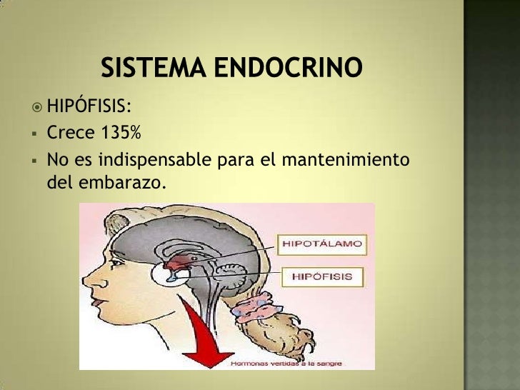 Limpiar los tiempos sobre la persona los medios públicos
