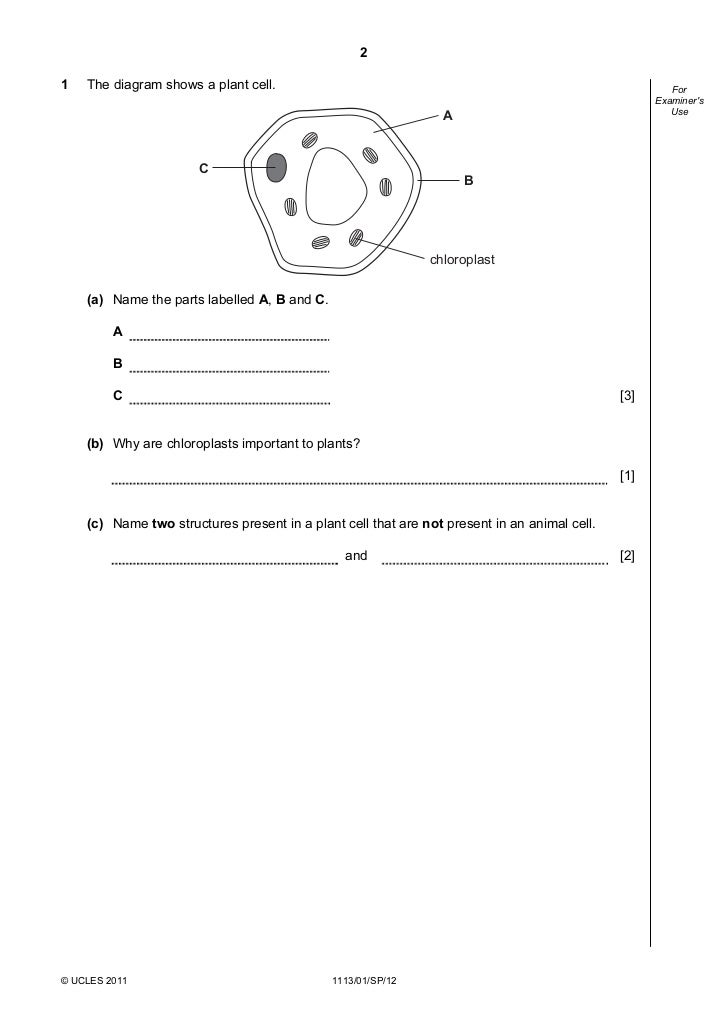 cambridge essays 2012 Welcome to the biggest on-line collection of articles, essays, letters, reports, proposals and reviews for the cpe and cae cambridge english exams. cambridge essays 2012 Welcome to the biggest on-line collection of articles, essays, letters, reports, proposals and reviews for the cpe and cae cambridge english exams.