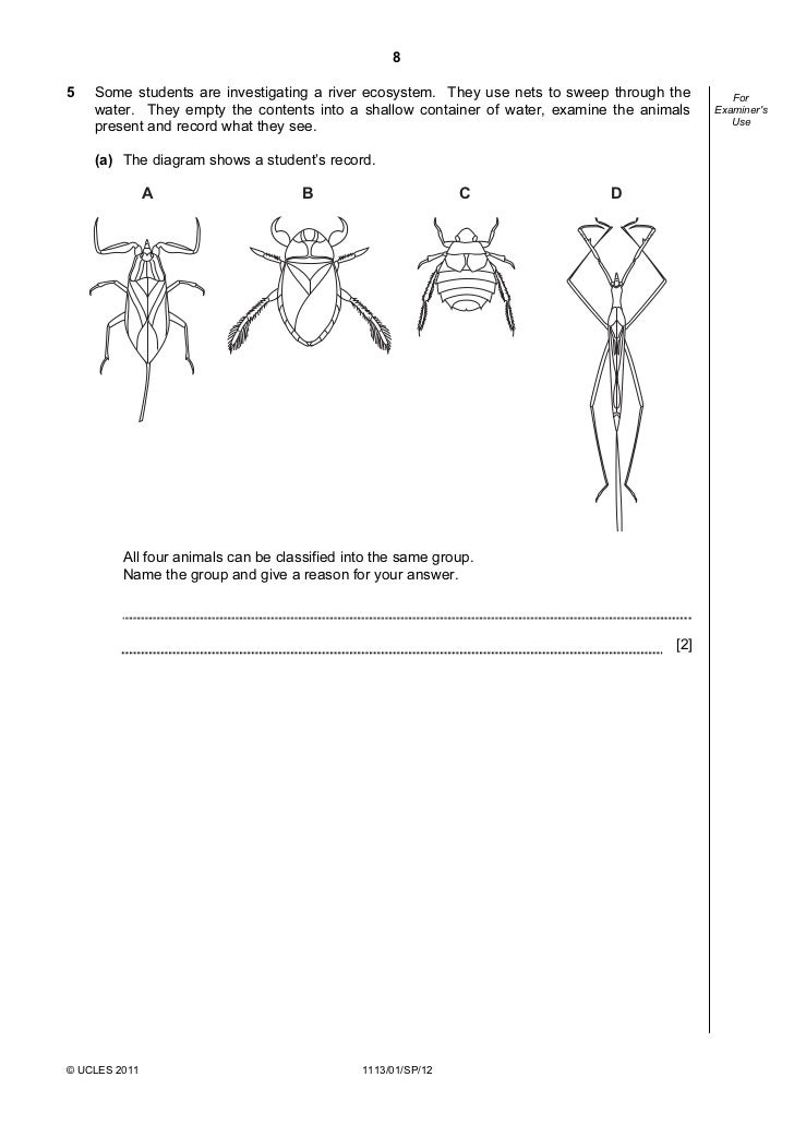 Past checkpoint papers