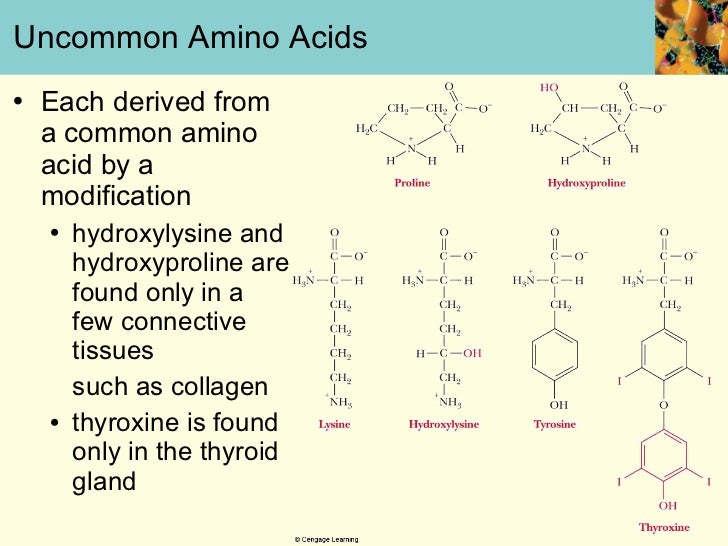 Campbell6e lecture ch3
