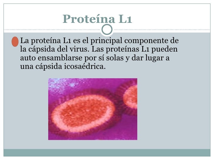 Most cancers Cervix Powerpoint
