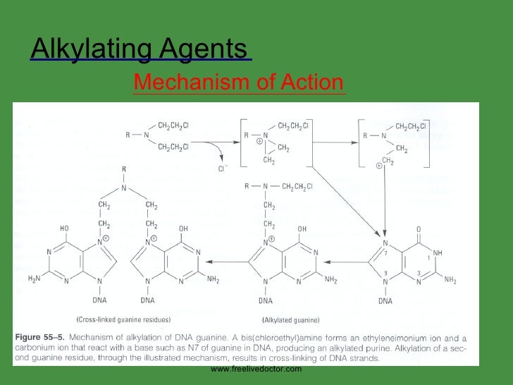cyclophosphamide mechanism of action