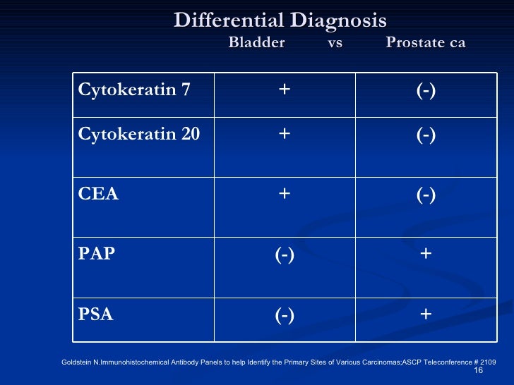 find a lawyer in russia