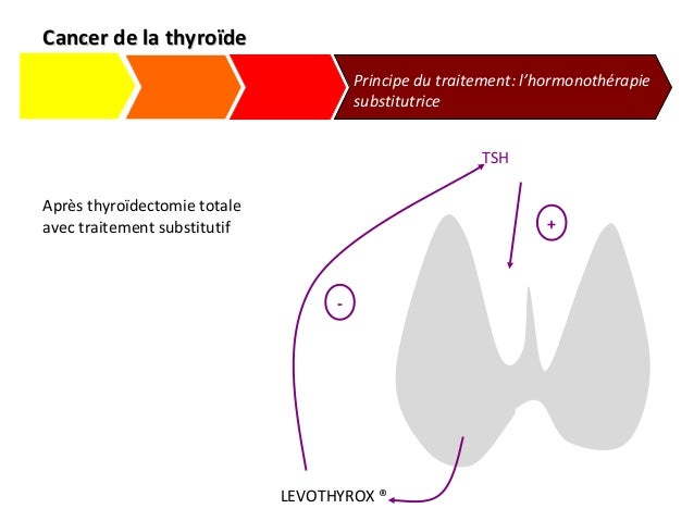 Hormonothérapie Freinatrice Thyroide