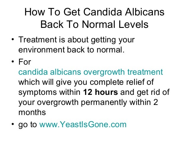Diet For Candida Fungus Cure