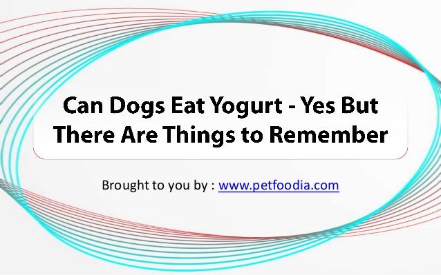 can dogs eat spam can dogs eat yogurt yes but there are things to remember can dogs eat spam can dogs eat yogurt yes but there are things to remember