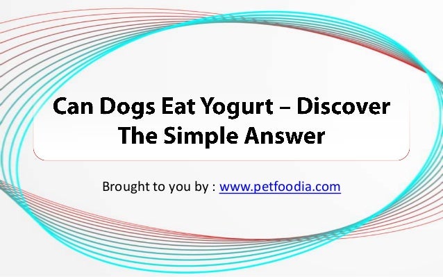 can dogs eat spam can dogs eat yogurt discover the simple answer can dogs eat spam can dogs eat yogurt discover the simple answer