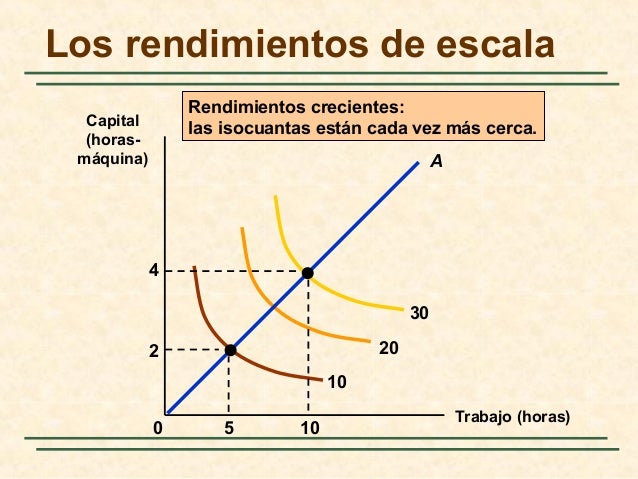 Cap 6 la produccion