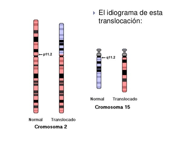 Caracterización De Los Procesos Que Se Realizan En Los