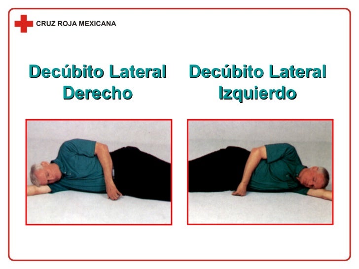 CapíTulo 04 El Cuerpo Humano CapíTulo 04 El Cuerpo Humano