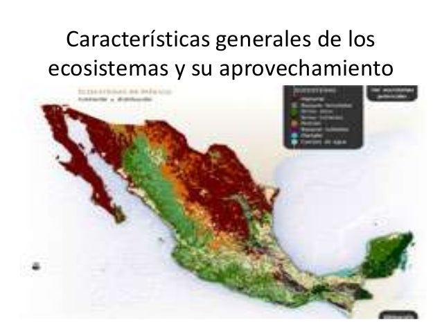 Caracteristicas Generales De Los Ecosistemas Y Su Aprovechamiento