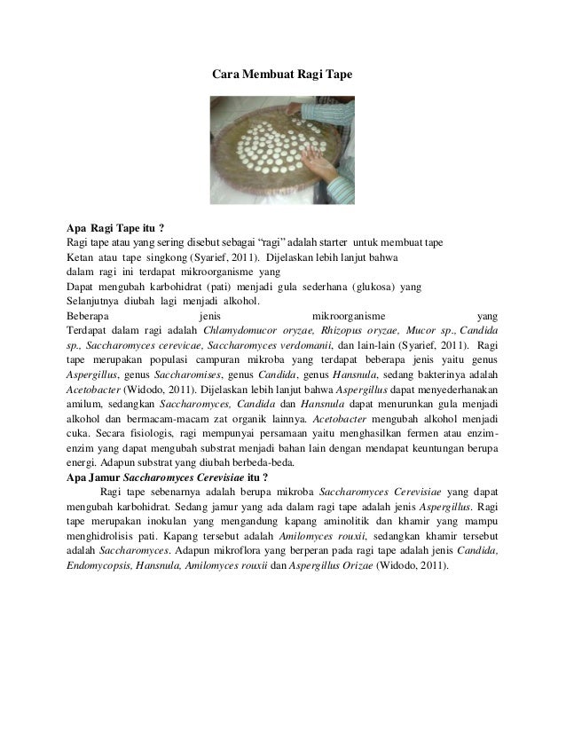Cara Membuat Cakwe Ragi | cara membuat ragi tape Cara Membuat Cakwe Ragi | cara membuat ragi tape