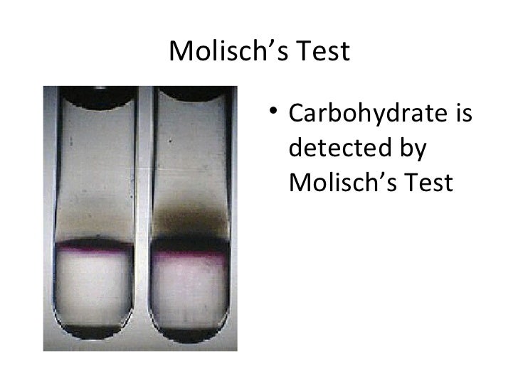 The Characterization of Carbohydrates