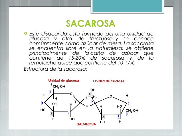 Carbohidratos