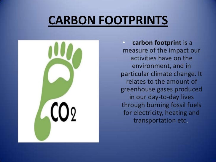 Carbon Footprint and the Impact of Motorsport on the Environment
