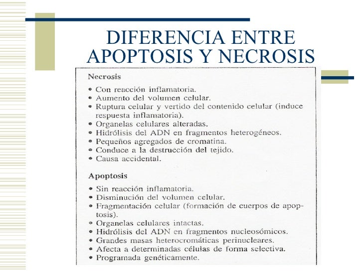 diferencias entre abdominoplastia y lipoescultura diferencias entre abdominoplastia y lipoescultura