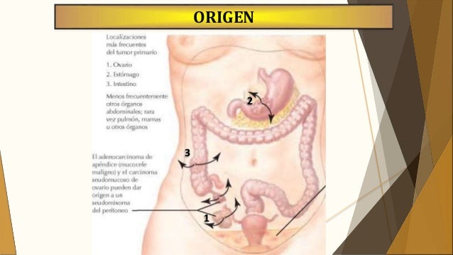 tesla españa cargadores