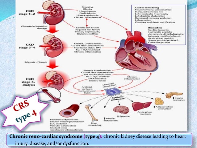 home dialysis gadget in india dialysis technician process openings