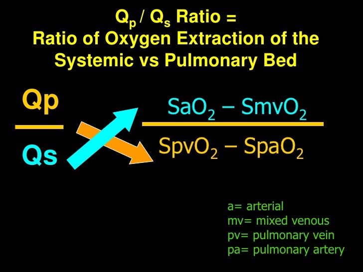 Cardiorespiratory Interactions