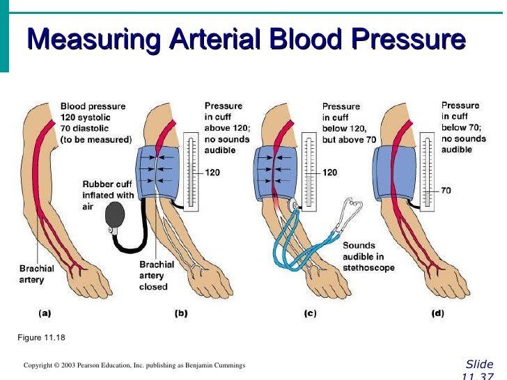 How To Measure Blood Pressure With Sphygmomanometer At Abby Humphries Blog How To Measure Blood Pressure With Sphygmomanometer At Abby Humphries Blog