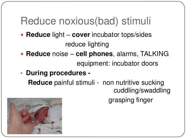 cue based feeding policy for nicu Jess and natalie talk with nicole habovick about the emerging science supporting infant driven feeding protocols to be used in the nicu. cue based feeding policy for nicu Jess and natalie talk with nicole habovick about the emerging science supporting infant driven feeding protocols to be used in the nicu.