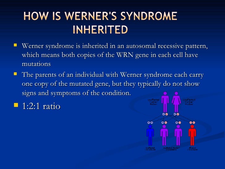 Werners Syndrome