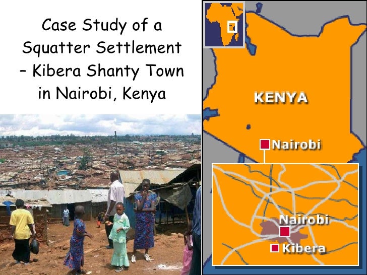 São paulo megacity case study image