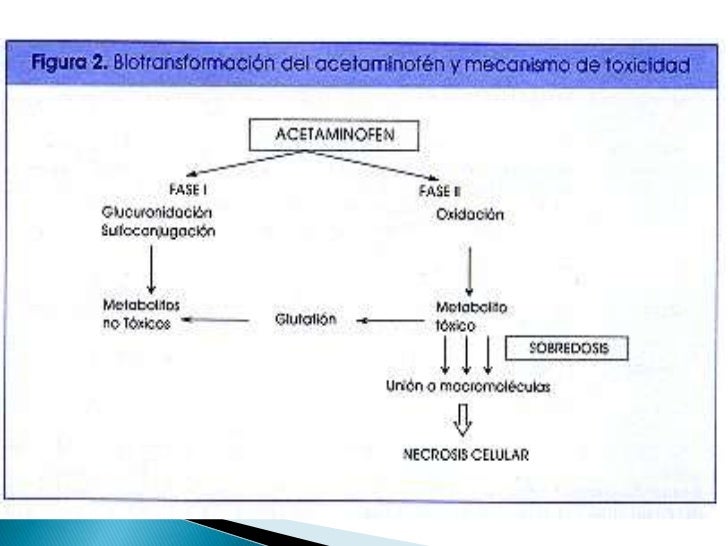 Toxicología: intoxicación con paracetamol Toxicología: intoxicación con paracetamol