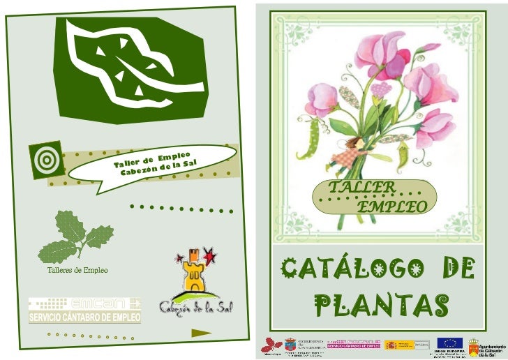EmpleTa ller de e la Sa l Cab ezón d TALLER EmpleTa ller de e la Sa l Cab ezón d TALLER
