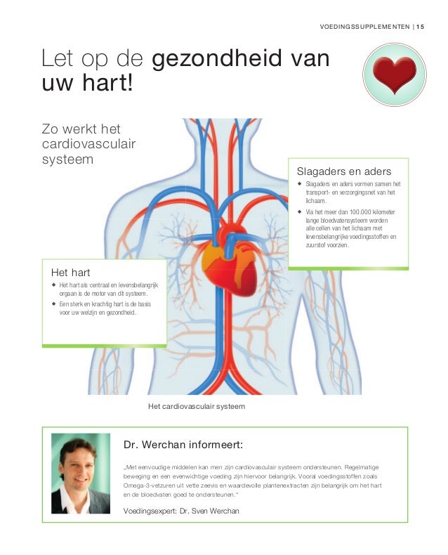 cardiovasculair systeem